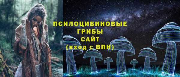 стаф Белоозёрский