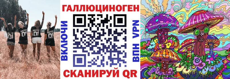 Галлюциногенные грибы Psilocybine cubensis  Дигора 