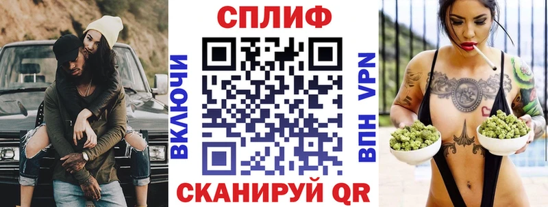 Бошки Шишки гибрид  где купить наркоту  Дигора 